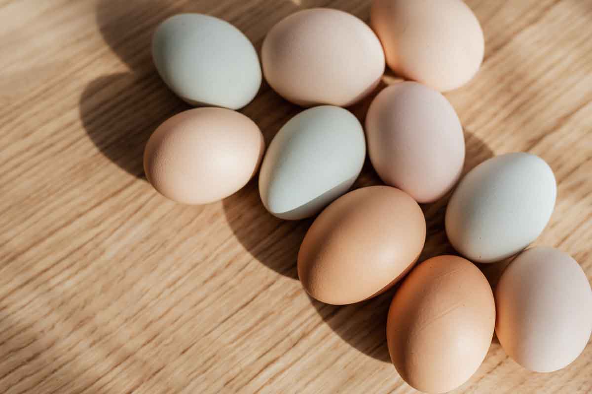 Veja como escolher os melhores ovos