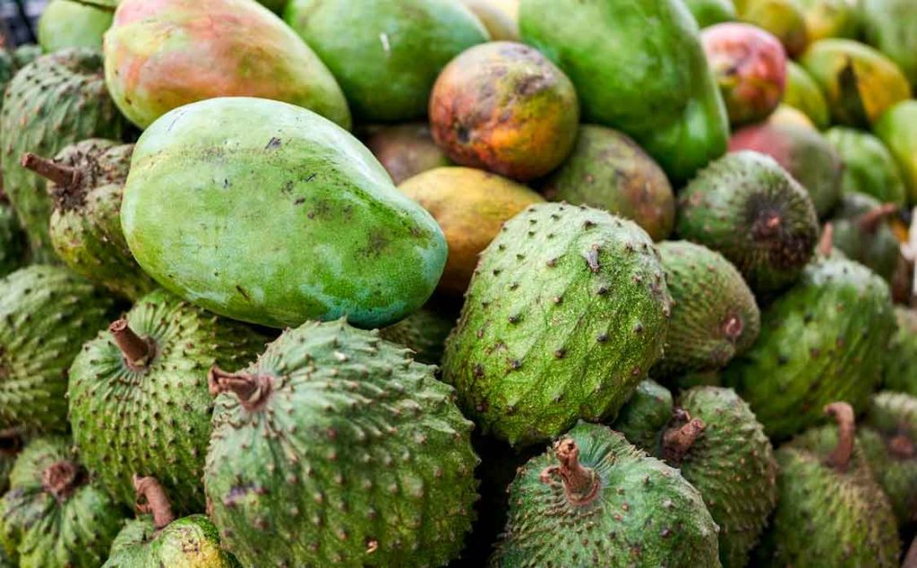 Confira os benefícios da Graviola