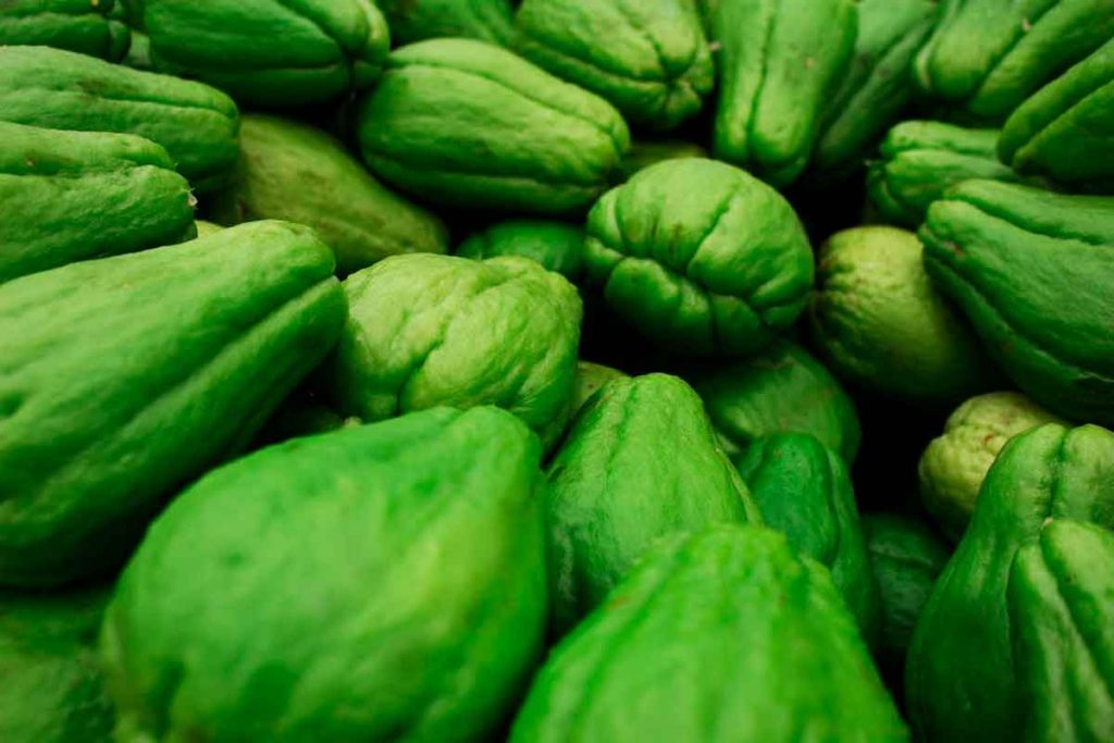 Descubra os benefícios do Chuchu. Foto: Pexels