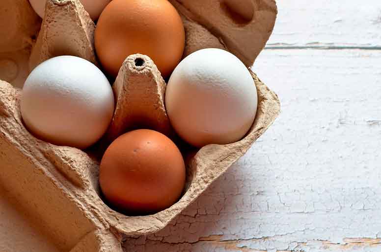 Qual é a diferença entre ovo branco e ovo marrom?